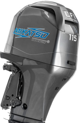 Консультант